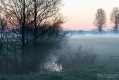 003_Biebrza - kwiecien 2012